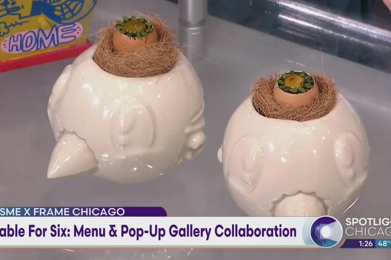 Photograph from the WGN story